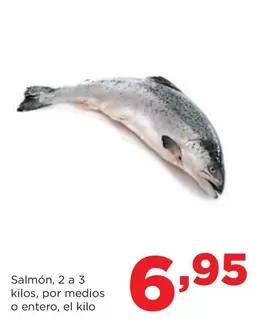 Salmón, 2 A 3 Kilos, Por Medios O Entero