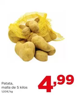 Patata