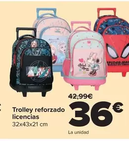 Trolley Reforzado Licencias