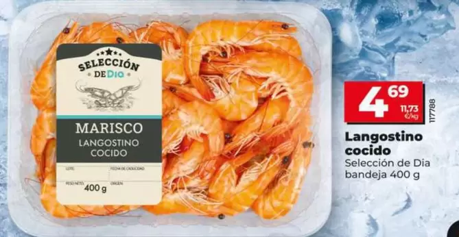 Seleccion De Dia - Langostino Cocido 