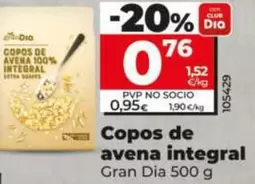 Gran Dia - Copos De Avena Integral