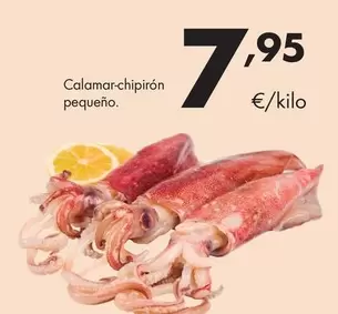 Calamar-Chipirón Pequeño