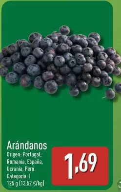 Arándanos