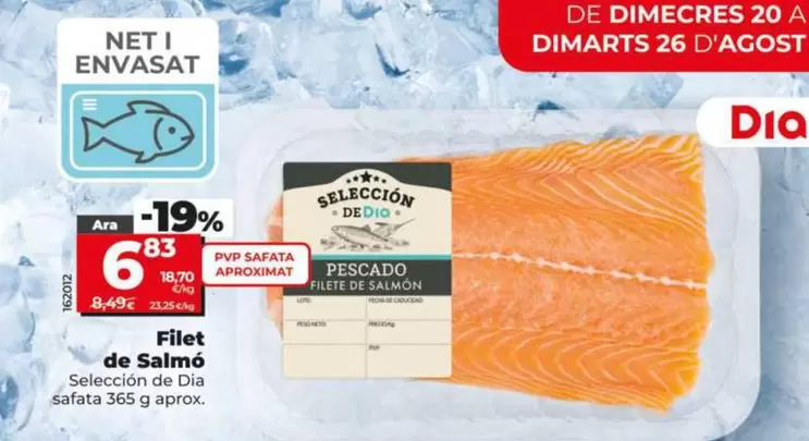 Seleccion De Dia - Filete De Salmón