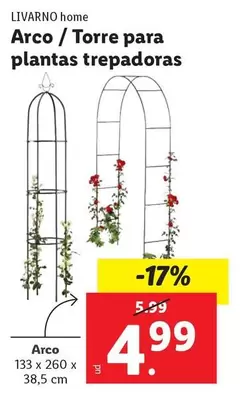 Livarno Home - Arco/Torre Para Plantas Trepadoras