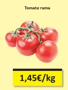 Rama - Tomate