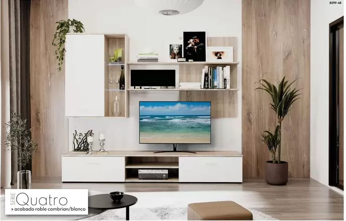 Mueble De Salón