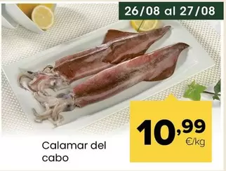 Calamar Del Cabo