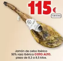 Coto - Jamón De Cebo Ibérico 50% Raza Ibérica