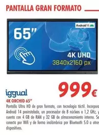 iggual - 4k Orchid 65"