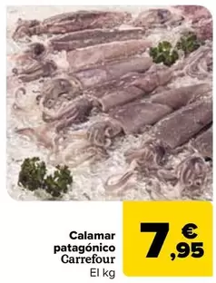 Carrefour - Calamar Patagonico