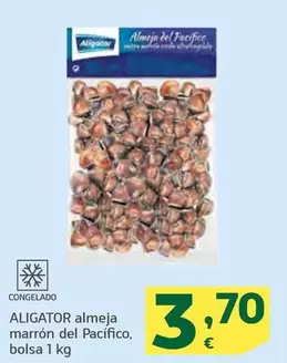 Aligator - Almeja Marrón Del Pacifico