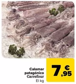 carrefour - Calamar Patagonico