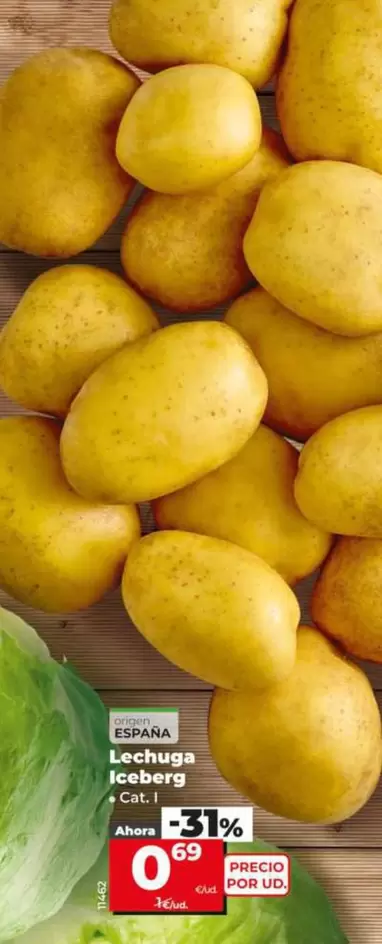 Lechuga Iceberg