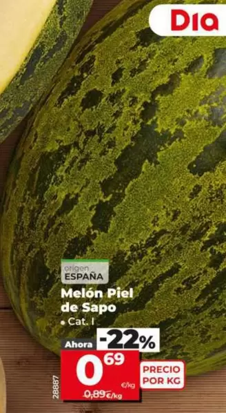 Melón Piel De Sapo