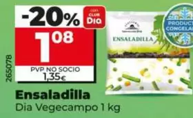 Dia Vegecampo - Ensaladilla 