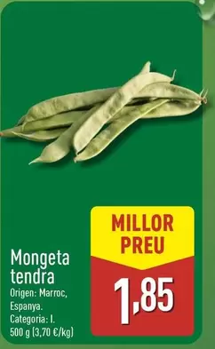 Mongeta Tendra