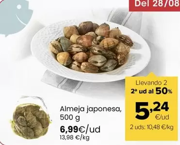 Almeja Japonesa