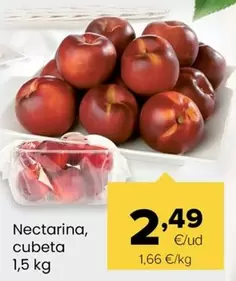 Nectarina
