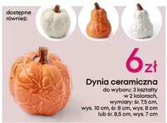 Dynia Ceramiczna