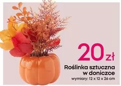 Roslinka Sztuczna W Donizzce