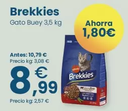 Affinity - Brekkies