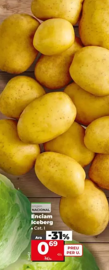Lechuga Iceberg