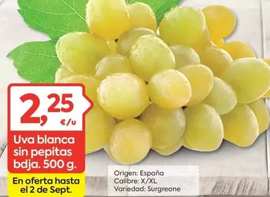 origen - Uva Blanca Sin Pepitas Bdja