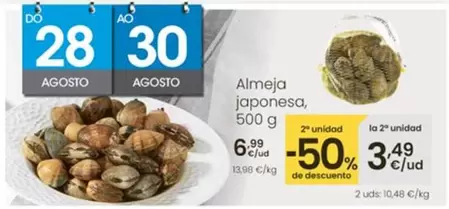 Almeja Japonesa