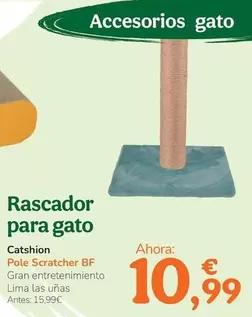 Catshion - Rascador Para Gato