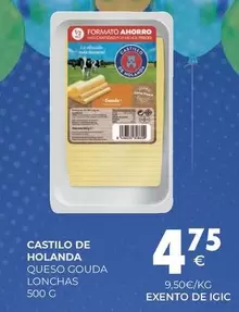 Castillo de Holanda - Queso Gouda Lonchas