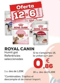 Royal Canin - Humedo Gato Referencias Seleccionadas