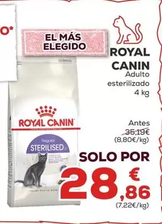Royal Canin -  Adulto Esterilizado