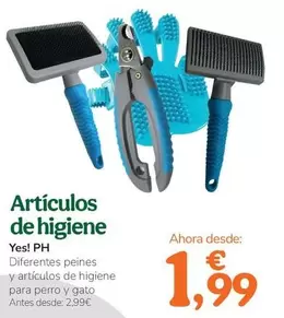 Yes!Ph - Articulos De Higiene
