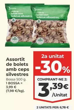 Assortit De Bolets Amb Ceps Silvestres