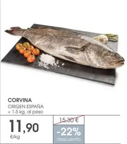 origen - Corvina