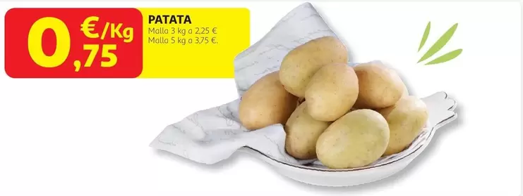 Patata