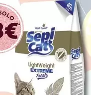 Sepicat - Lecho Aglomerante
