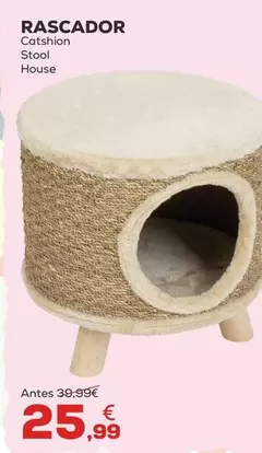 Catshion - Rascador