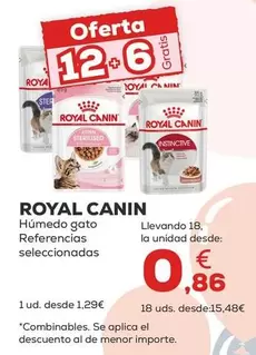 Royal Canin - Húmedo Gato 