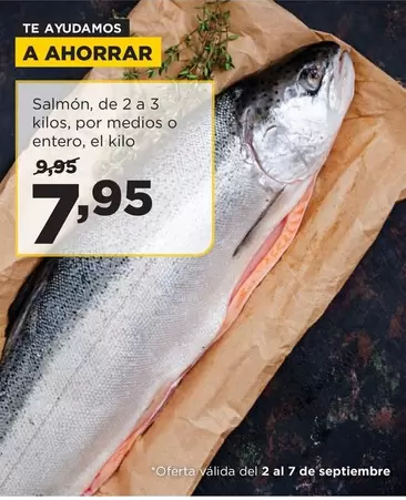 Salmón
