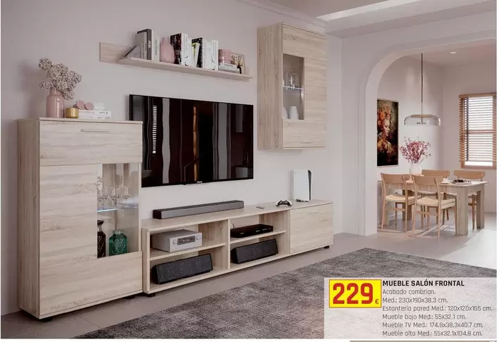 Mueble Salon Frontal