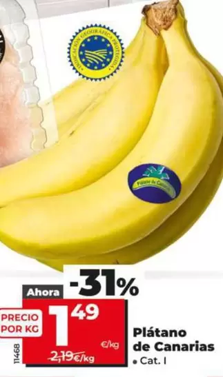Plátano De Canarias