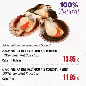 Vieira Del Pacífico 1/2 Concha
