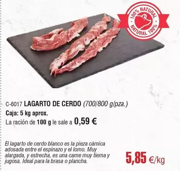 Lagarto -  De Cerdo
