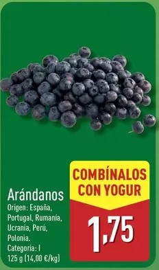 Arándanos