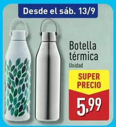 Botella Termica