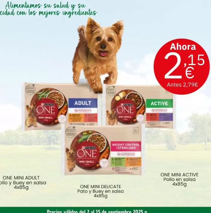 Purina One - Mini Adult