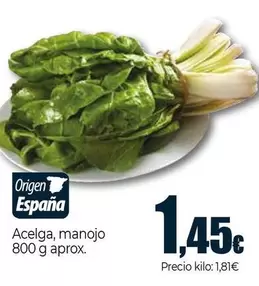 Acelga