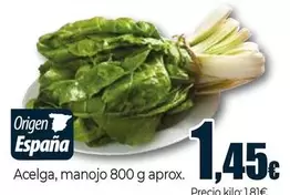 Acelga